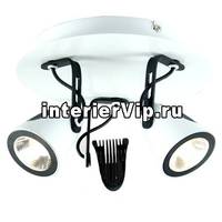 Спот Lussole Loft LSN-4101-03